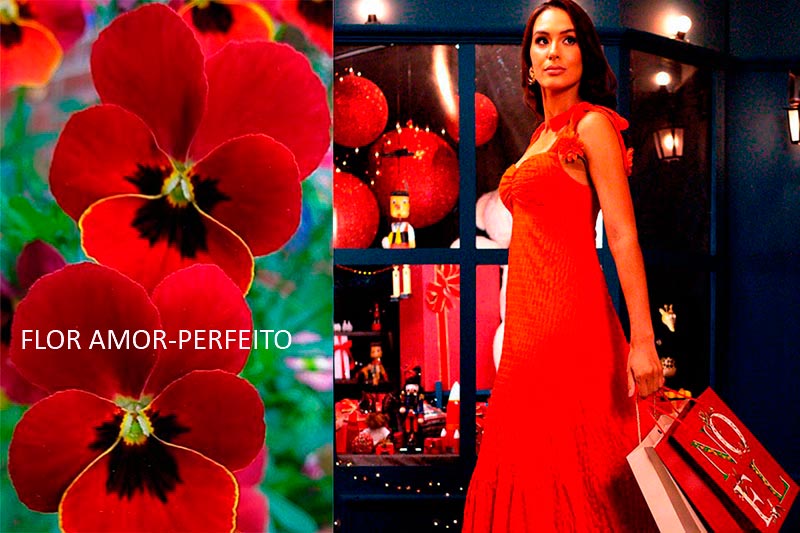 A flor Amor-perfeito e a . . .